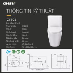 Bàn cầu một khối + Nắp rửa điện tử CAESAR C1395F+TAF710H