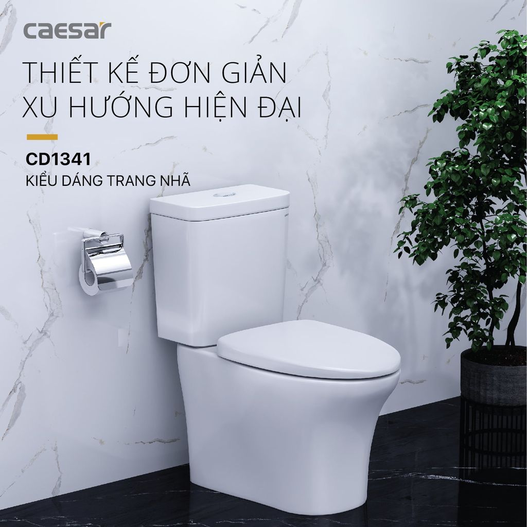 Bàn cầu hai khối + Nắp rửa điện tử CAESAR CD1341+TAF710H