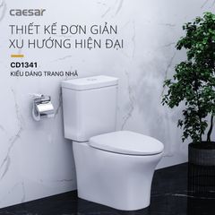 Bàn cầu hai khối + Nắp rửa điện tử CAESAR CD1341+TAF710H