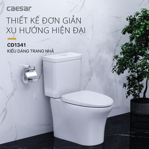 Bàn cầu hai khối + Nắp rửa cơ CAESAR CD1341+TAF060