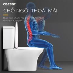 Bàn cầu hai khối + Nắp rửa điện tử CAESAR CD1341+TAF710H