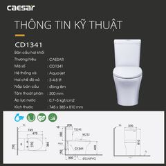 Bàn cầu hai khối + Nắp rửa điện tử CAESAR CD1341+TAF710H
