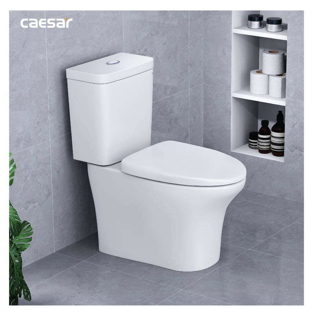 Bàn cầu hai khối + Nắp rửa điện tử CAESAR CD1341+TAF710H