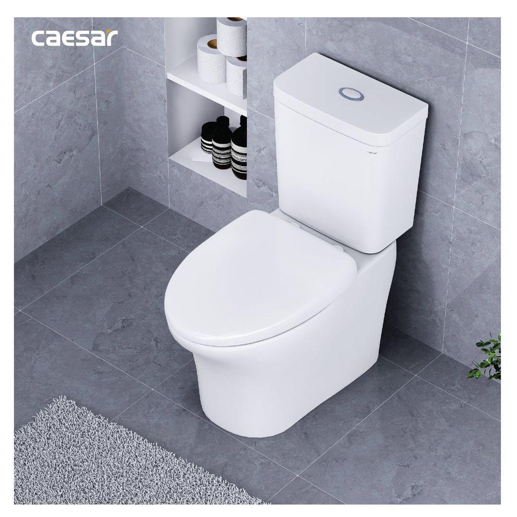 Bàn cầu hai khối + Nắp rửa điện tử CAESAR CD1341+TAF610H