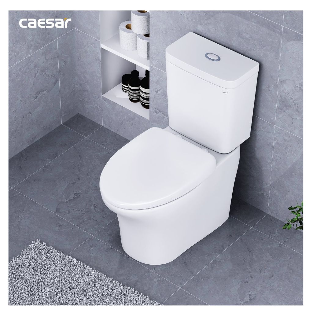 Bàn cầu hai khối + Nắp rửa điện tử CAESAR CD1341+TAF710H