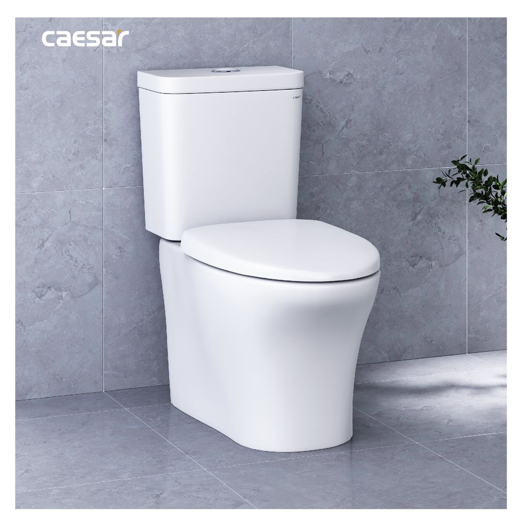 Bàn cầu hai khối + Nắp rửa điện tử CAESAR CD1341+TAF710H