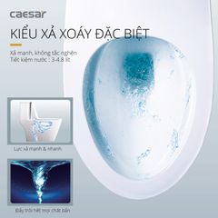 Bàn cầu một khối + Nắp rửa điện tử CAESAR C1363F+TAF512H