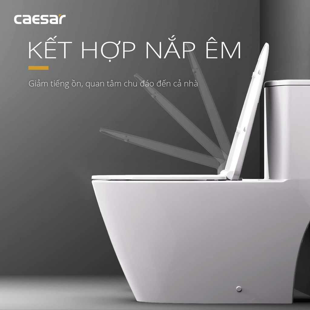Bàn cầu một khối + Nắp rửa điện tử CAESAR C1363F+TAF512H