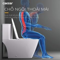 Bàn cầu một khối + Nắp rửa điện tử CAESAR C1363F+TAF512H