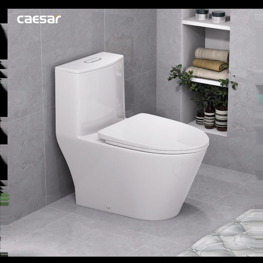 Bàn cầu một khối + Nắp rửa điện tử CAESAR C1363F+TAF512H