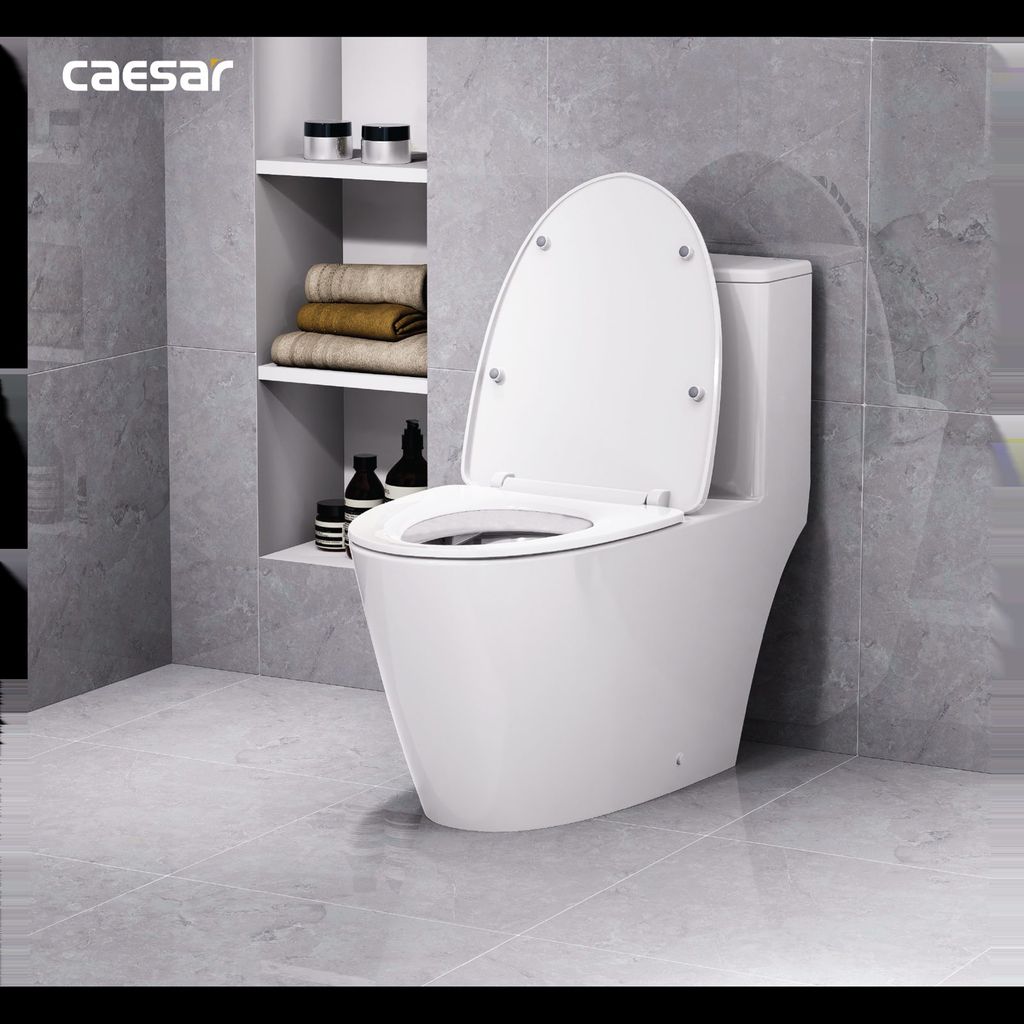 Bàn cầu một khối + Nắp rửa điện tử CAESAR C1363F+TAF512H