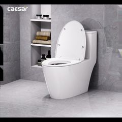 Bàn cầu một khối + Nắp rửa điện tử CAESAR C1363F+TAF512H