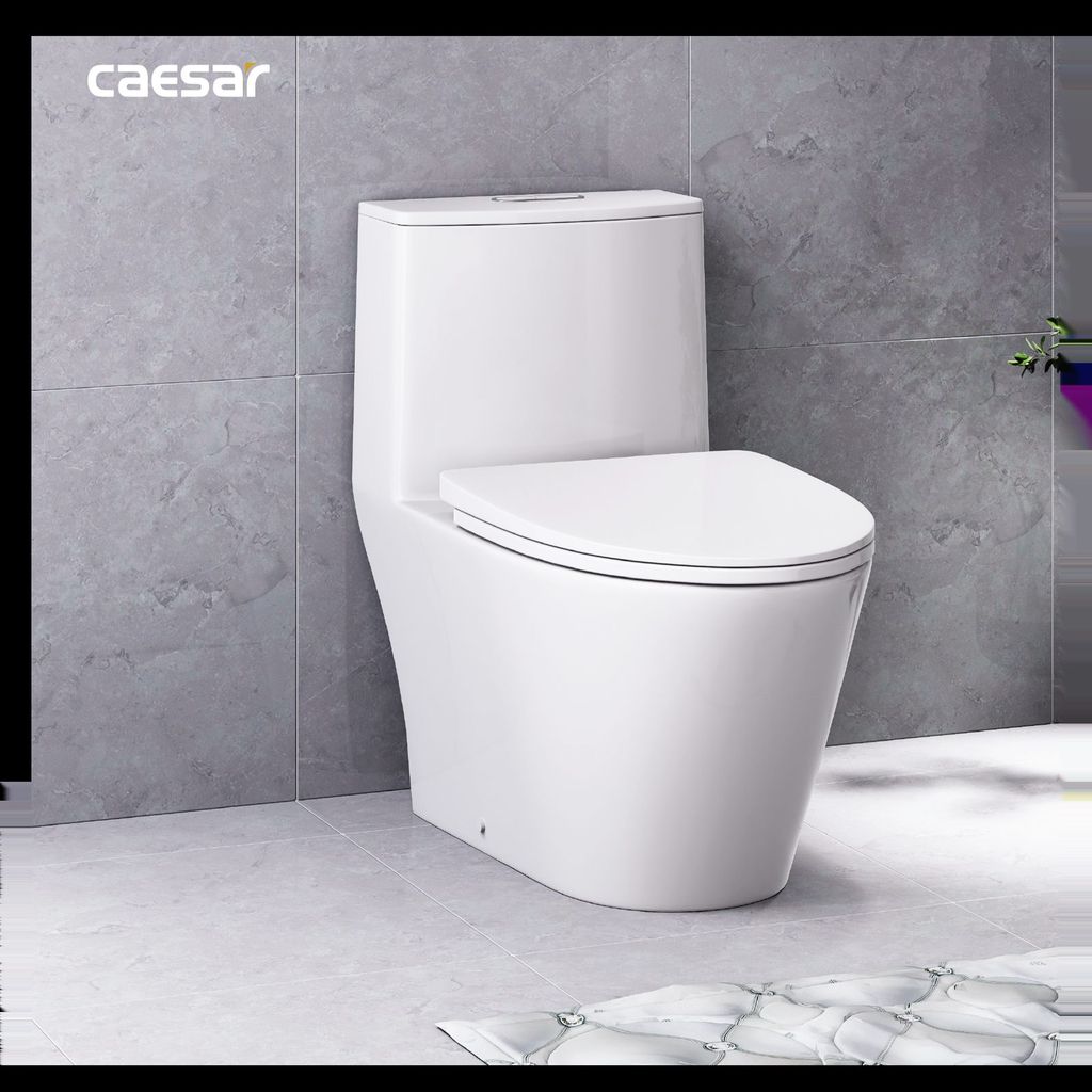 Bàn cầu một khối + Nắp rửa điện tử CAESAR C1363F+TAF512H