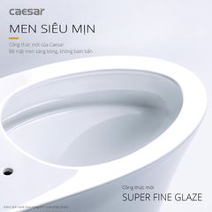 Bàn cầu một khối + Nắp rửa điện tử CAESAR C1375F+TAF512H