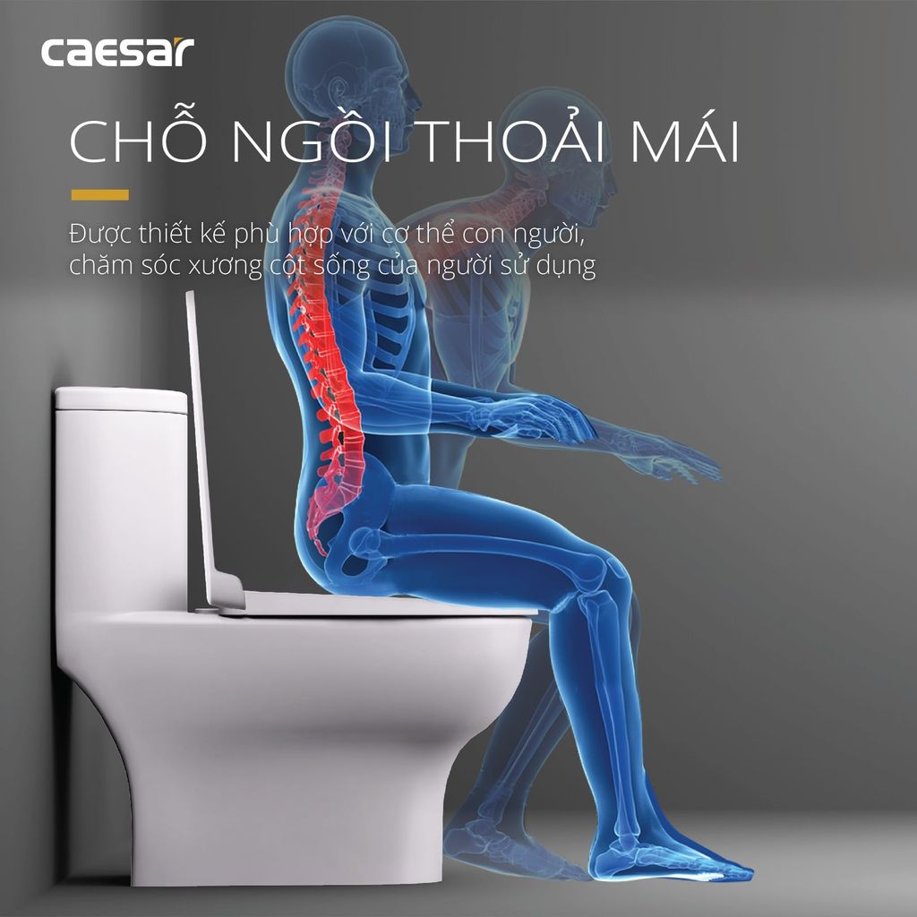 Bàn cầu một khối + Nắp rửa điện tử CAESAR C1375F+TAF512H