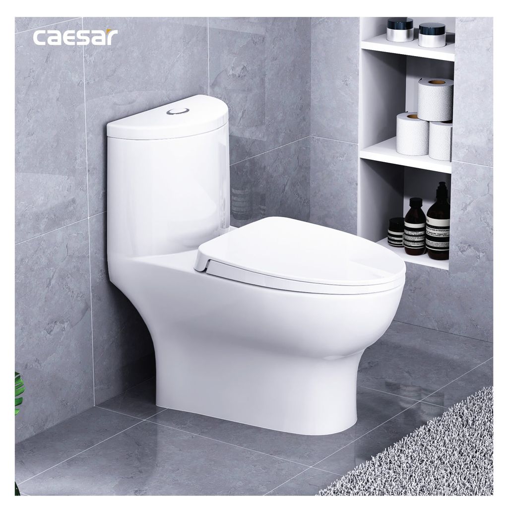 Bàn cầu một khối + Nắp rửa điện tử CAESAR C1375F+TAF512H