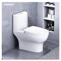 Bàn cầu một khối + Nắp rửa điện tử CAESAR C1375F+TAF512H