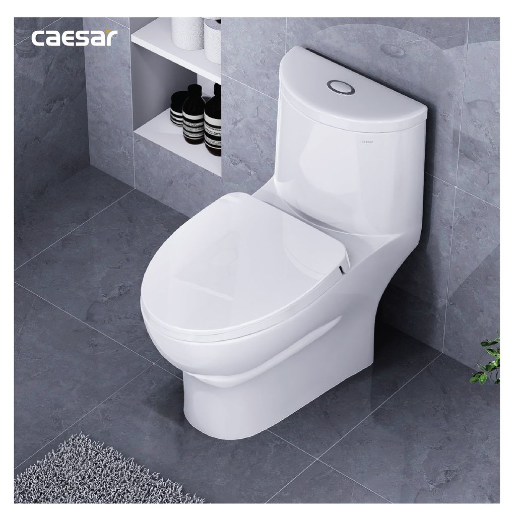 Bàn cầu một khối + Nắp rửa điện tử CAESAR C1375F+TAF512H