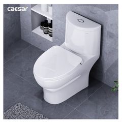 Bàn cầu một khối + Nắp rửa điện tử CAESAR C1375F+TAF512H