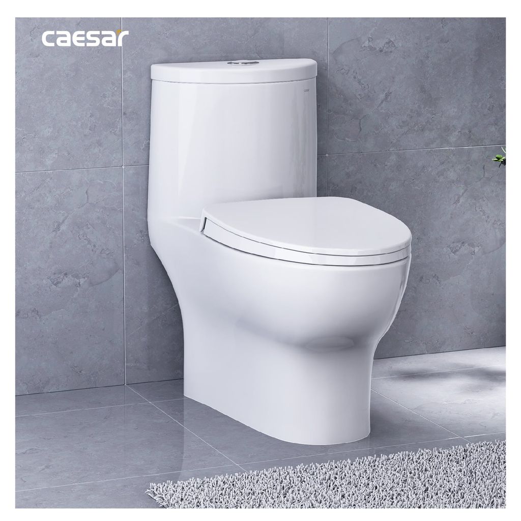 Bàn cầu một khối + Nắp rửa điện tử CAESAR C1375F+TAF512H