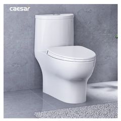 Bàn cầu một khối + Nắp rửa điện tử CAESAR C1375F+TAF512H