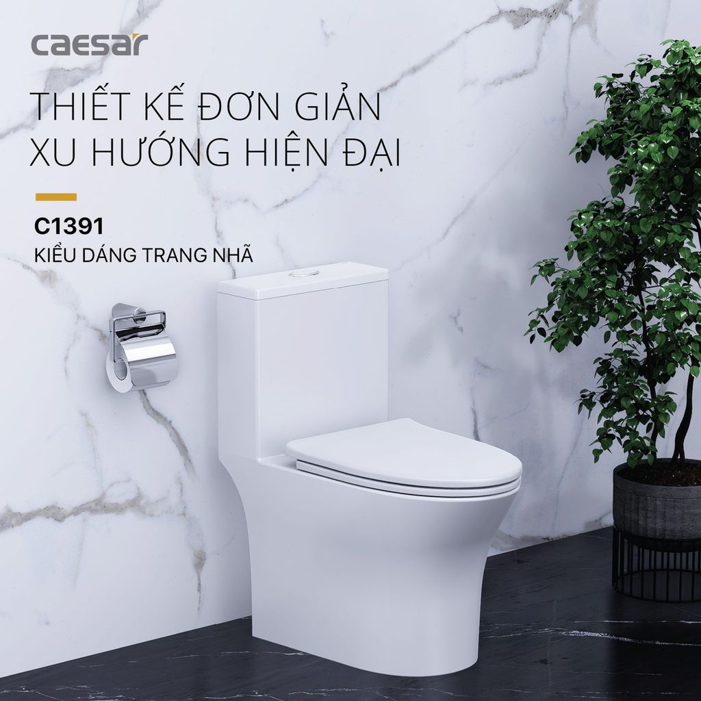 Bàn cầu một khối + Nắp rửa điện tử CAESAR C1391F+TAF400H