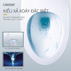 Bàn cầu một khối + Nắp rửa điện tử CAESAR C1391F+TAF512H
