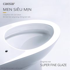 Bàn cầu một khối + Nắp rửa điện tử CAESAR C1391F+TAF400H