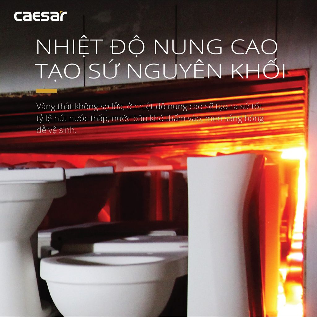 Bàn cầu một khối + Nắp rửa điện tử CAESAR C1391F+TAF512H