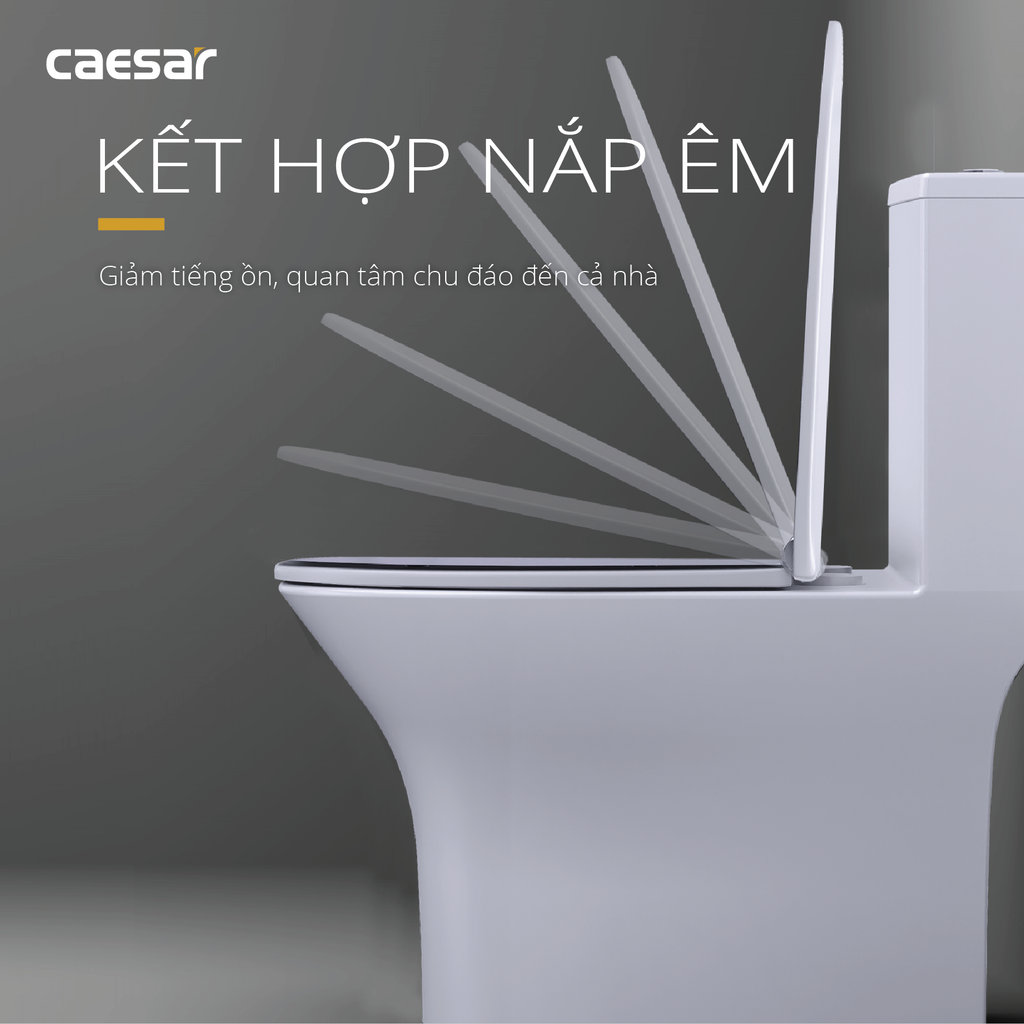 Bàn cầu một khối + Nắp rửa điện tử CAESAR C1391F+TAF512H