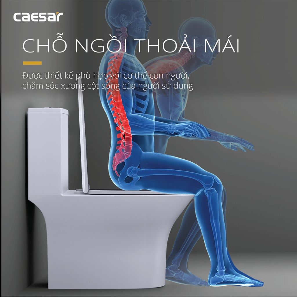 Bàn cầu một khối + Nắp rửa điện tử CAESAR C1391F+TAF400H