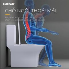 Bàn cầu một khối + Nắp rửa điện tử CAESAR C1391F+TAF400H