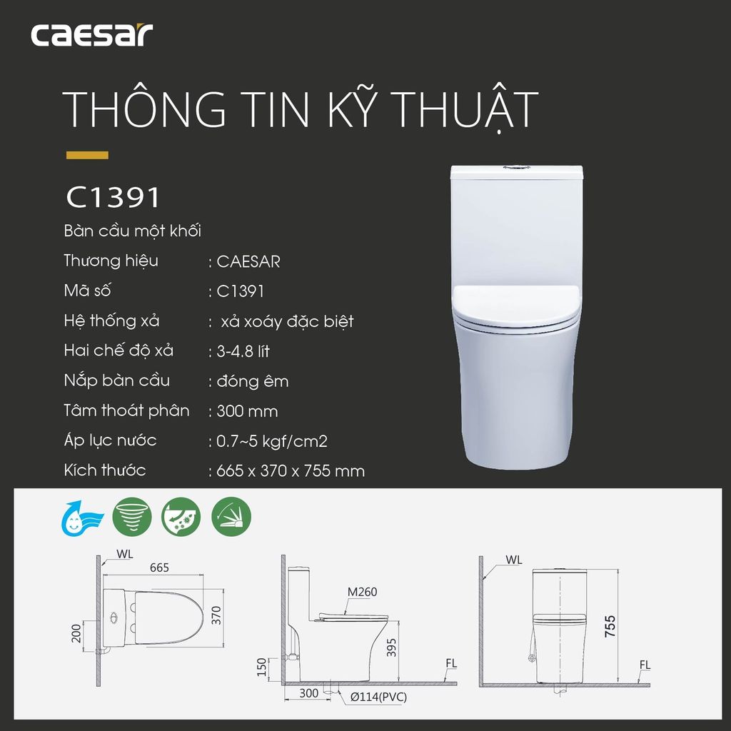 Bàn cầu một khối + Nắp rửa điện tử CAESAR C1391F+TAF400H
