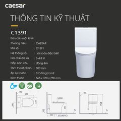 Bàn cầu một khối + Nắp rửa điện tử CAESAR C1391F+TAF400H