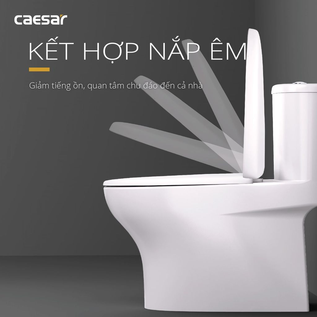 Bàn cầu một khối + Nắp rửa điện tử CAESAR C1394F+TAF512H