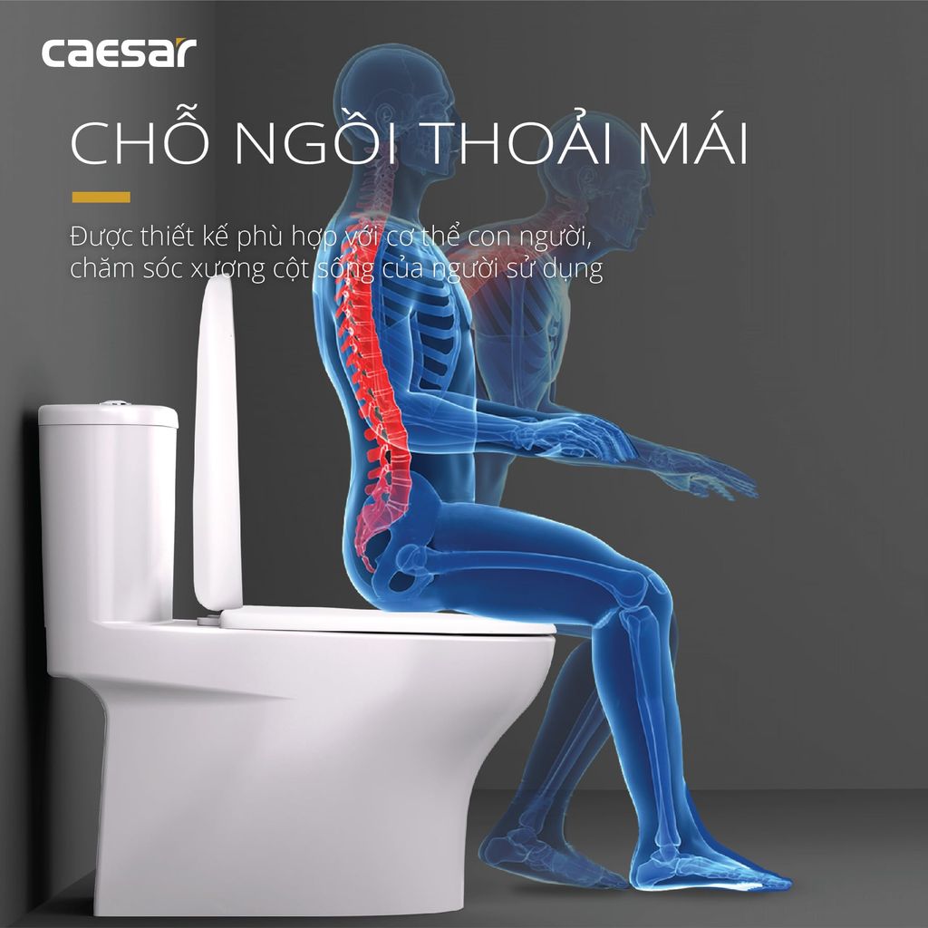 Bàn cầu một khối + Nắp rửa điện tử CAESAR C1394F+TAF512H