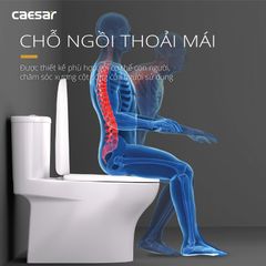 Bàn cầu một khối + Nắp rửa điện tử CAESAR C1394F+TAF512H