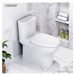 Bàn cầu một khối + Nắp rửa điện tử CAESAR C1394F+TAF512H