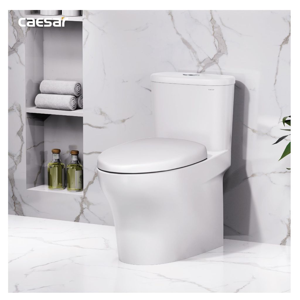 Bàn cầu một khối + Nắp rửa điện tử CAESAR C1394F+TAF512H