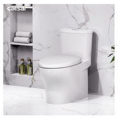 Bàn cầu một khối + Nắp rửa điện tử CAESAR C1394F+TAF512H