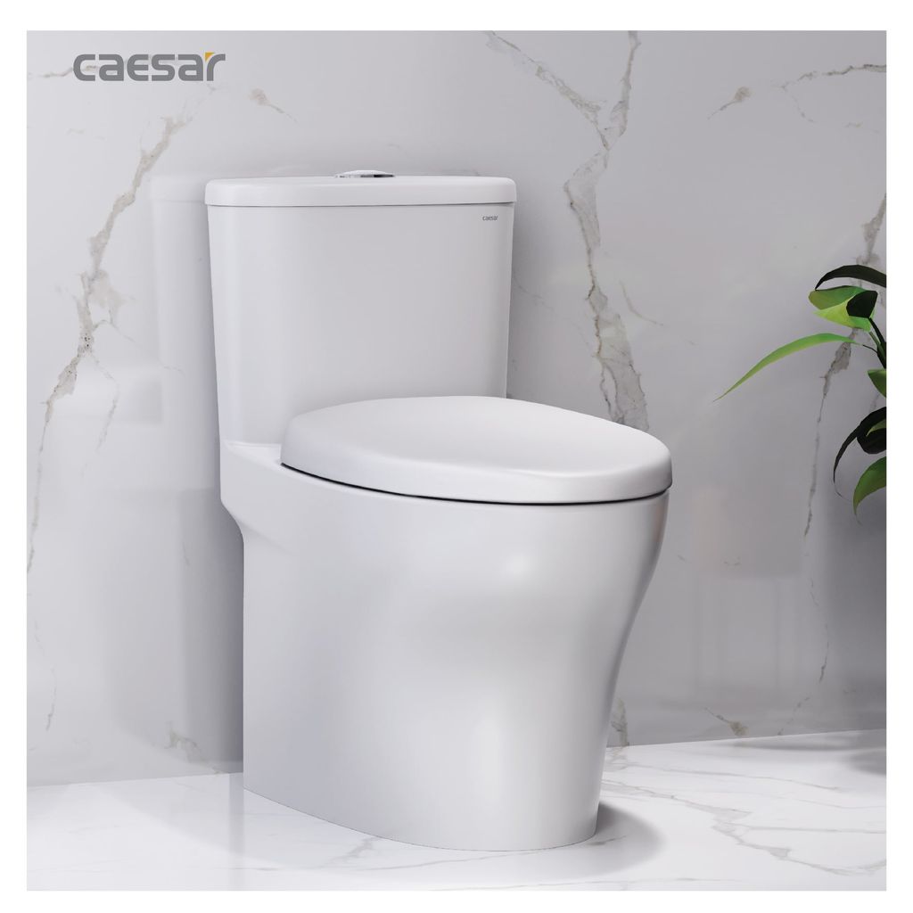 Bàn cầu một khối + Nắp rửa điện tử CAESAR C1394F+TAF512H