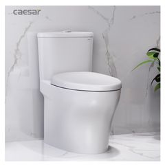 Bàn cầu một khối + Nắp rửa điện tử CAESAR C1394F+TAF512H
