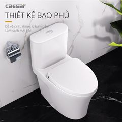 Bàn cầu một khối + Nắp rửa điện tử CAESAR C1395F+TAF710H