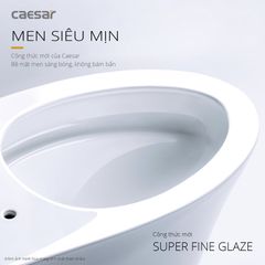 Bàn cầu một khối + Nắp rửa điện tử CAESAR C1395F+TAF710H