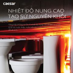 Bàn cầu một khối + Nắp rửa điện tử CAESAR C1395F+TAF710H