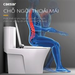 Bàn cầu một khối + Nắp rửa điện tử CAESAR C1395F+TAF710H