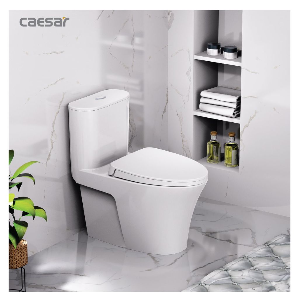Bàn cầu một khối + Nắp rửa điện tử CAESAR C1395F+TAF710H