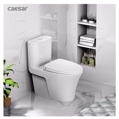 Bàn cầu một khối + Nắp rửa điện tử CAESAR C1395F+TAF710H