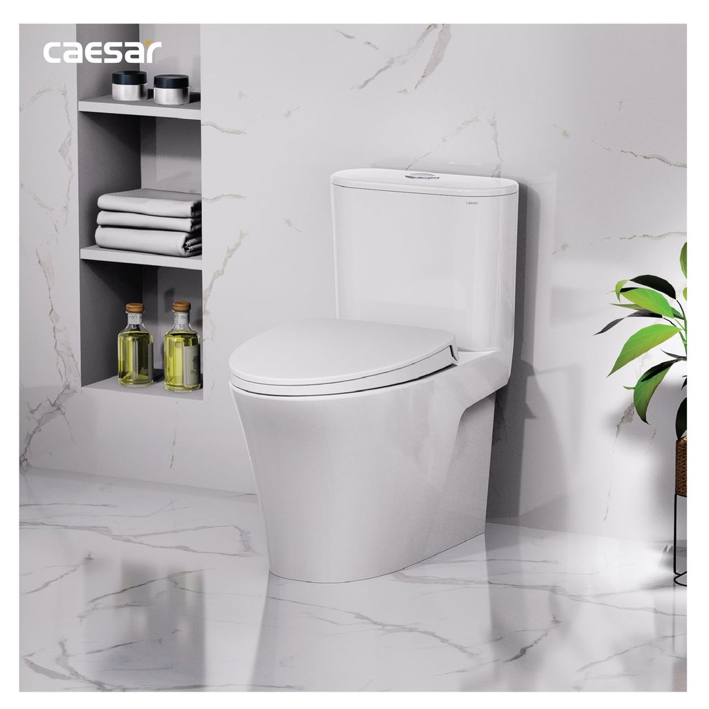 Bàn cầu một khối + Nắp rửa điện tử CAESAR C1395F+TAF710H