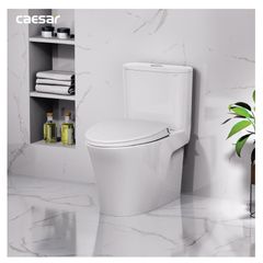 Bàn cầu một khối + Nắp rửa điện tử CAESAR C1395F+TAF710H
